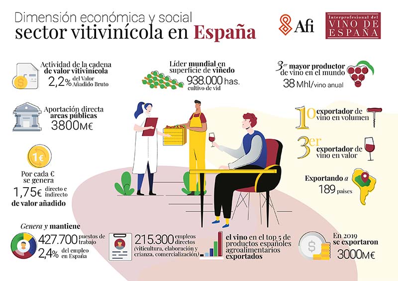 Dimensión económica y social del sector vitícola en España.
