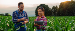 planificación del proyecto rural